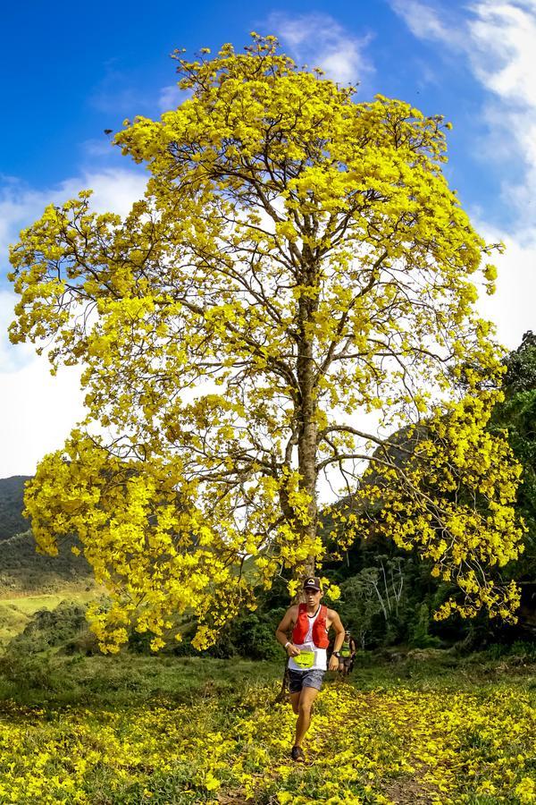 Buy your photos of the eventEvolution on Fotop
