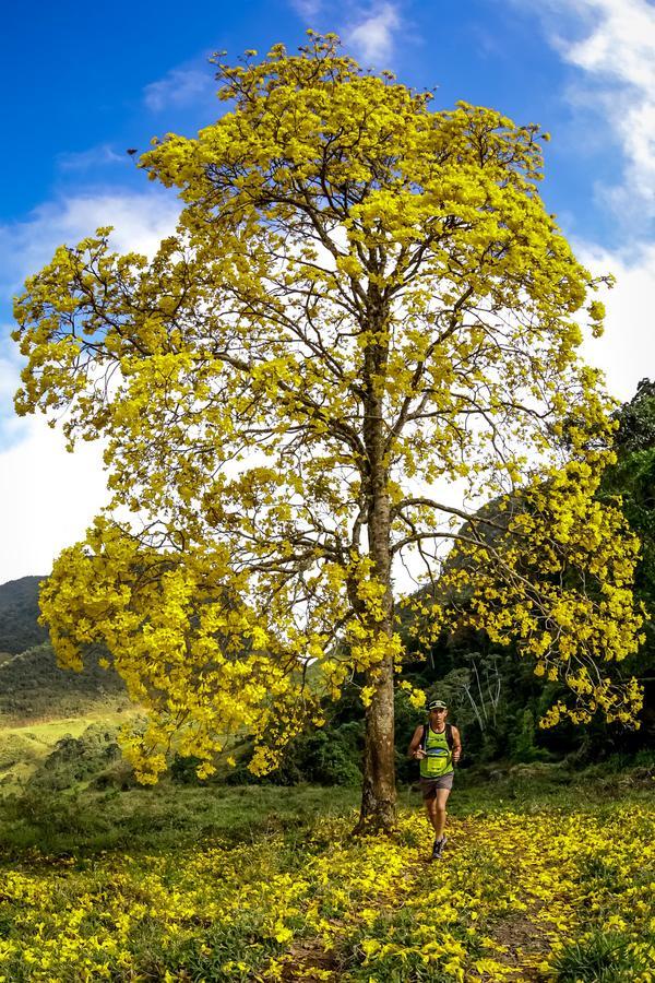 Buy your photos of the eventEvolution on Fotop