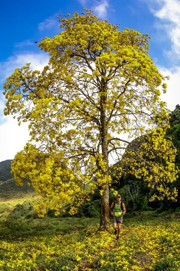 Buy your photos of the eventEvolution on Fotop