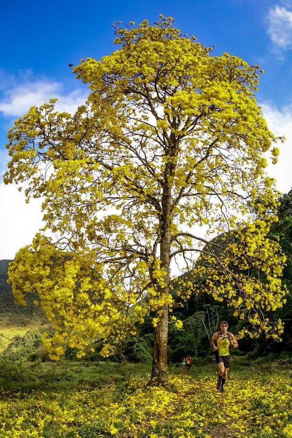 Buy your photos of the eventEvolution on Fotop