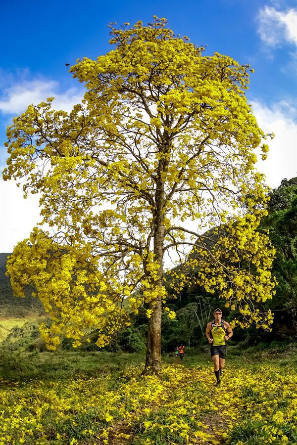 Buy your photos of the eventEvolution on Fotop