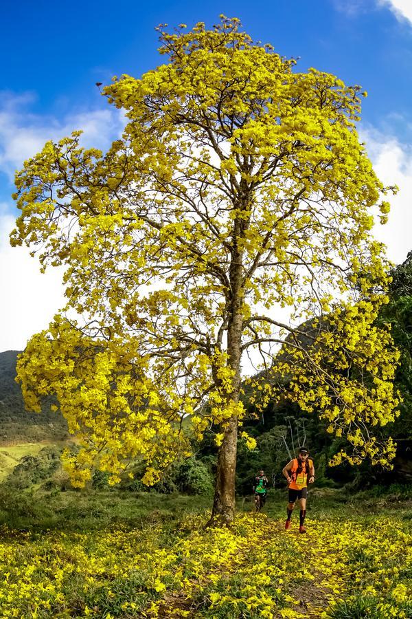 Buy your photos of the eventEvolution on Fotop