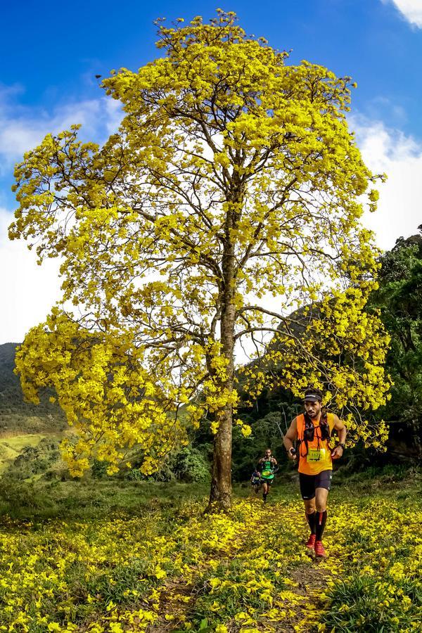 Buy your photos of the eventEvolution on Fotop