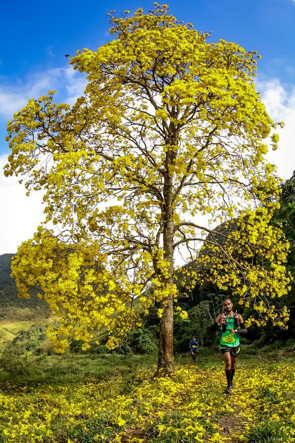 Buy your photos of the eventEvolution on Fotop