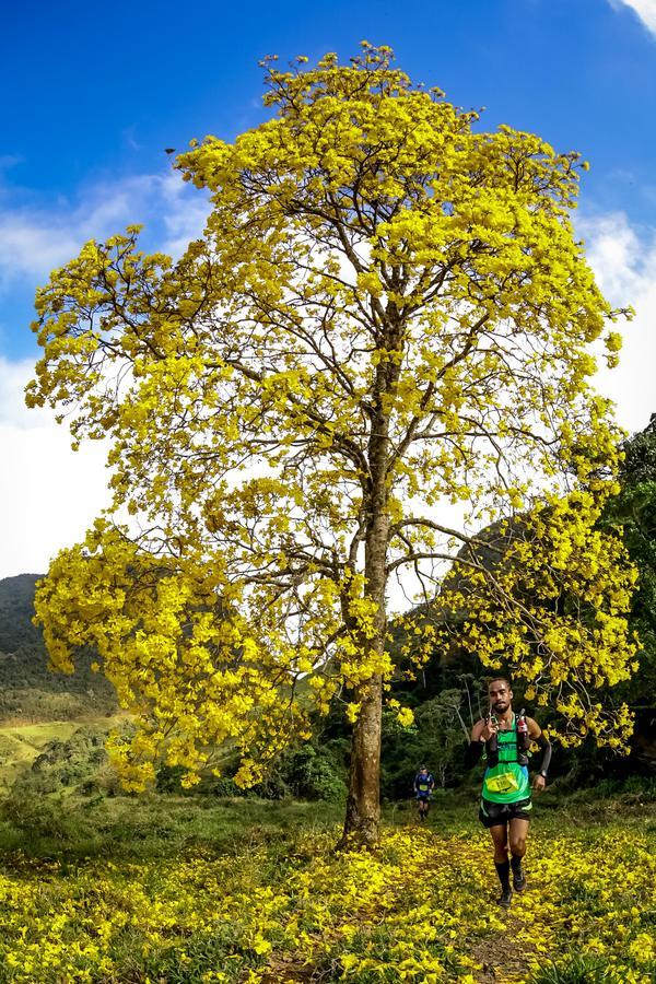 Buy your photos of the eventEvolution on Fotop