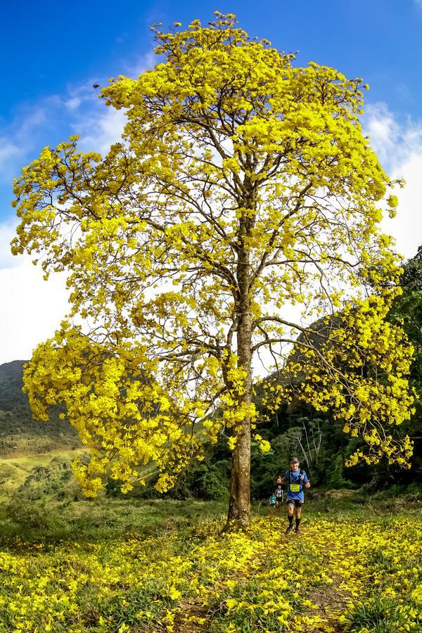 Buy your photos of the eventEvolution on Fotop