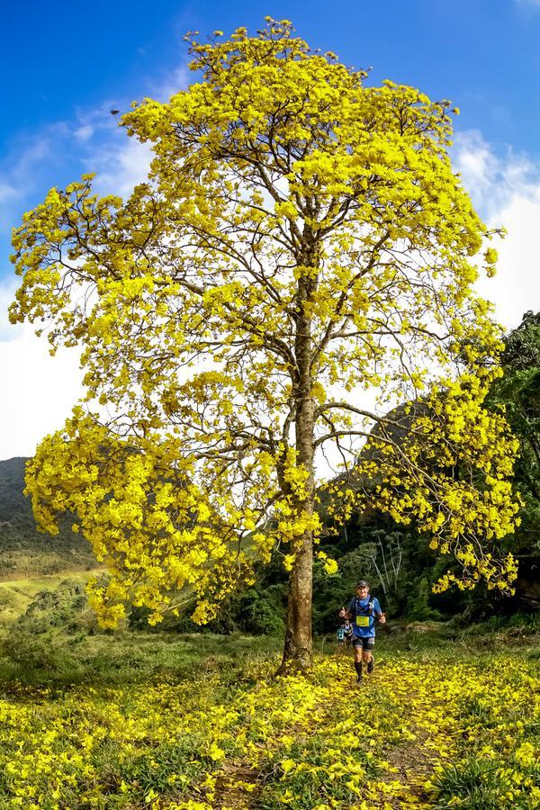 Buy your photos of the eventEvolution on Fotop