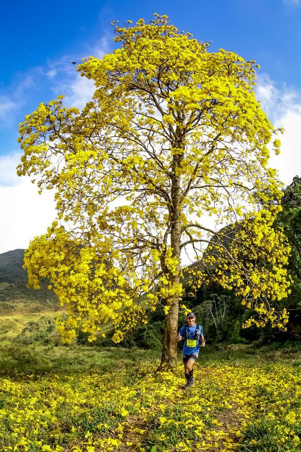 Buy your photos of the eventEvolution on Fotop