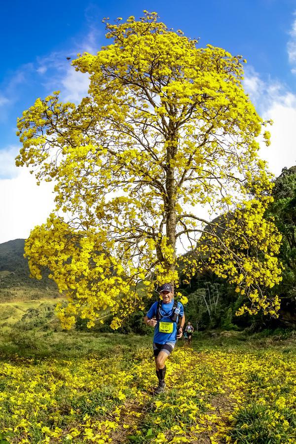 Buy your photos of the eventEvolution on Fotop