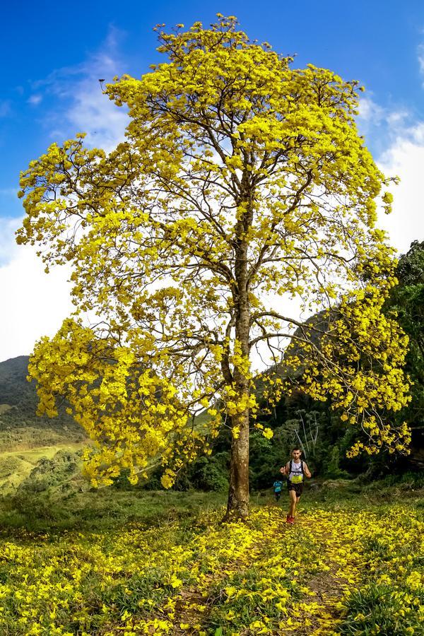 Buy your photos of the eventEvolution on Fotop