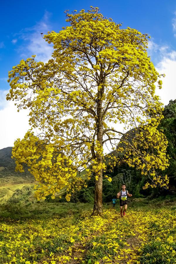 Buy your photos of the eventEvolution on Fotop
