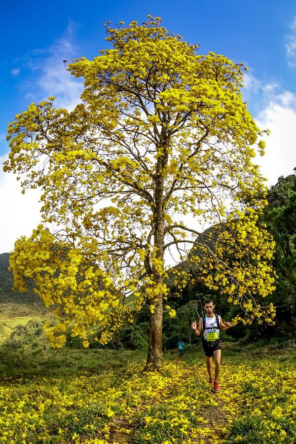 Buy your photos of the eventEvolution on Fotop