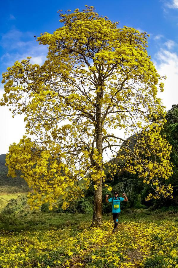 Buy your photos of the eventEvolution on Fotop