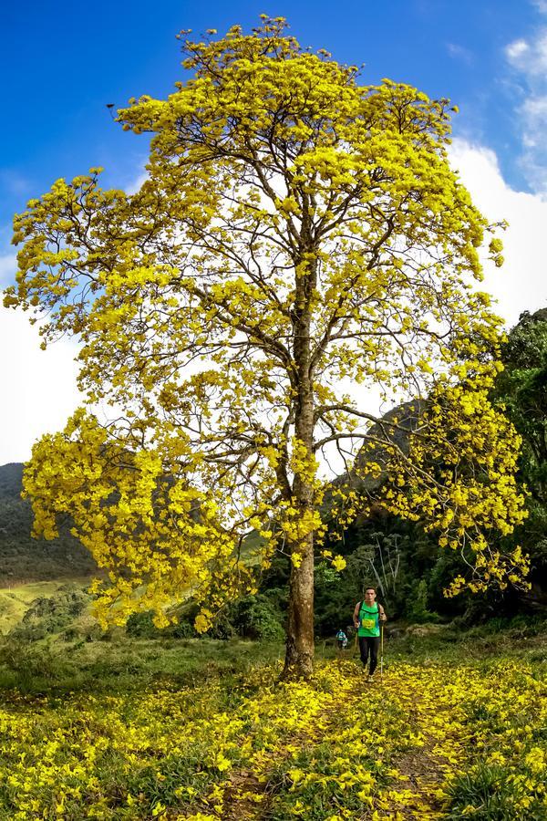 Buy your photos of the eventEvolution on Fotop