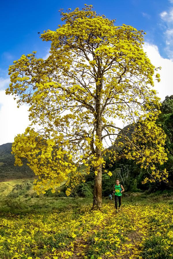 Buy your photos of the eventEvolution on Fotop