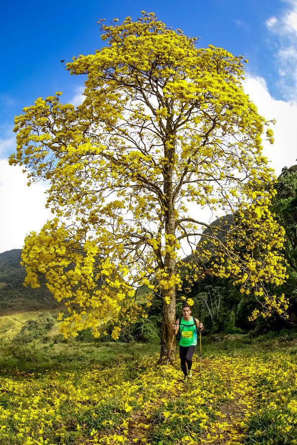 Buy your photos of the eventEvolution on Fotop