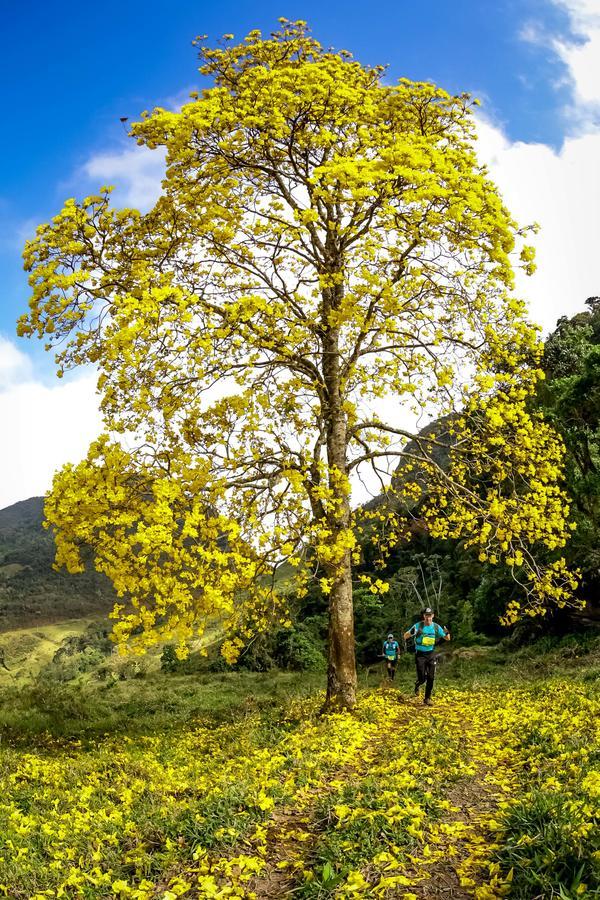 Buy your photos of the eventEvolution on Fotop