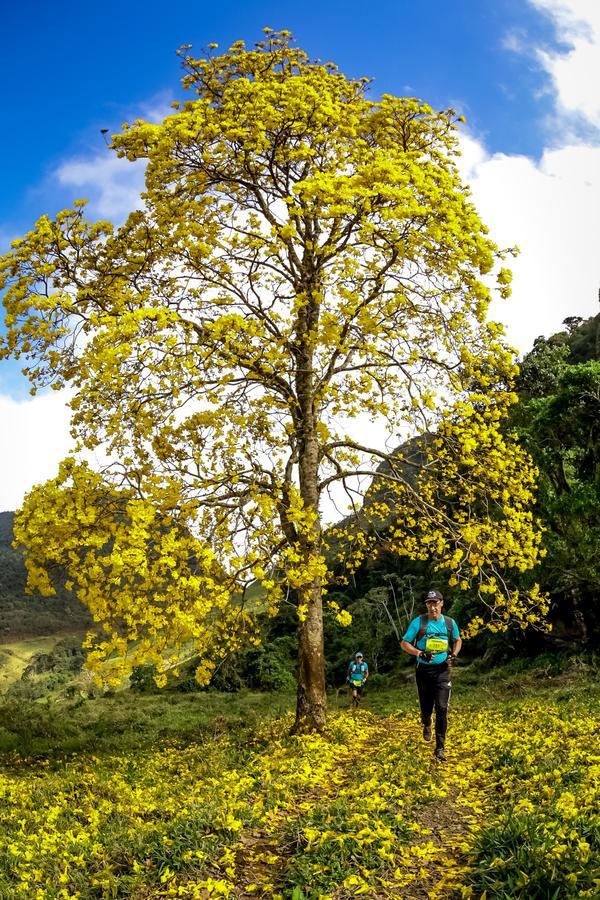 Buy your photos of the eventEvolution on Fotop