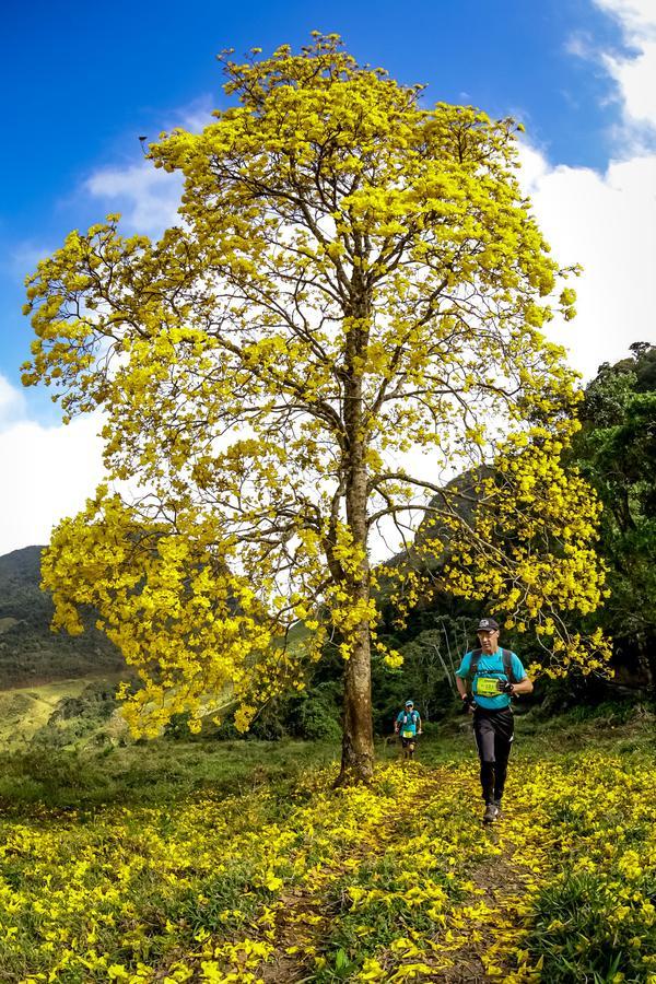 Buy your photos of the eventEvolution on Fotop