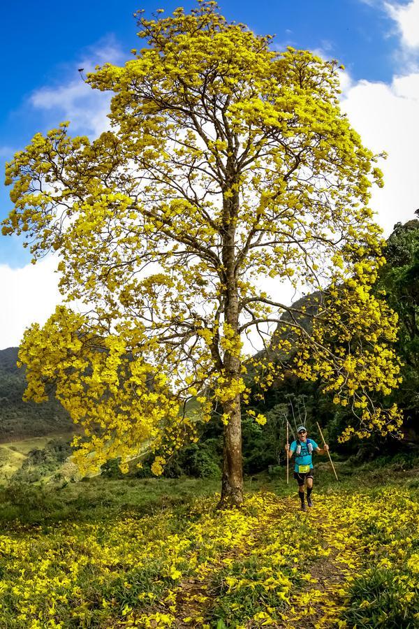 Buy your photos of the eventEvolution on Fotop