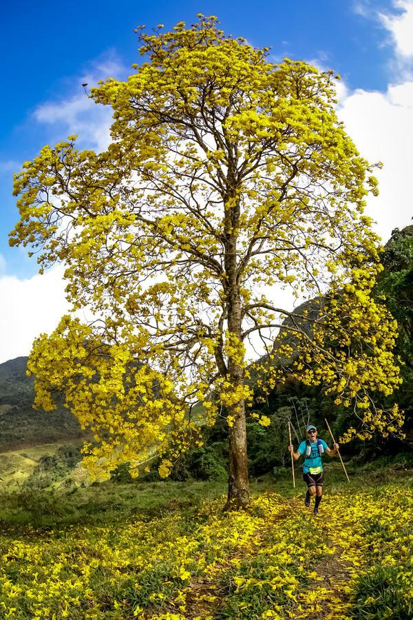 Buy your photos of the eventEvolution on Fotop