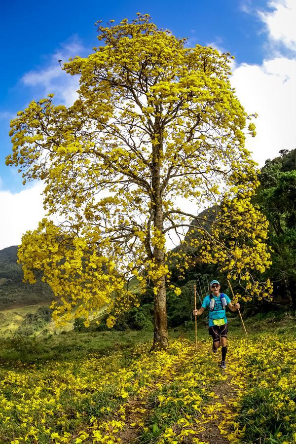 Buy your photos of the eventEvolution on Fotop