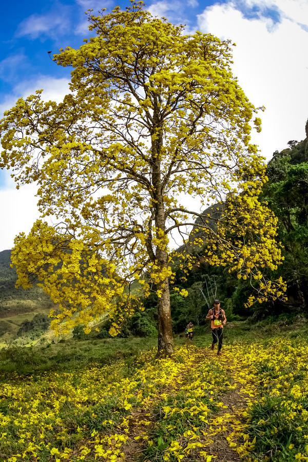 Buy your photos of the eventEvolution on Fotop