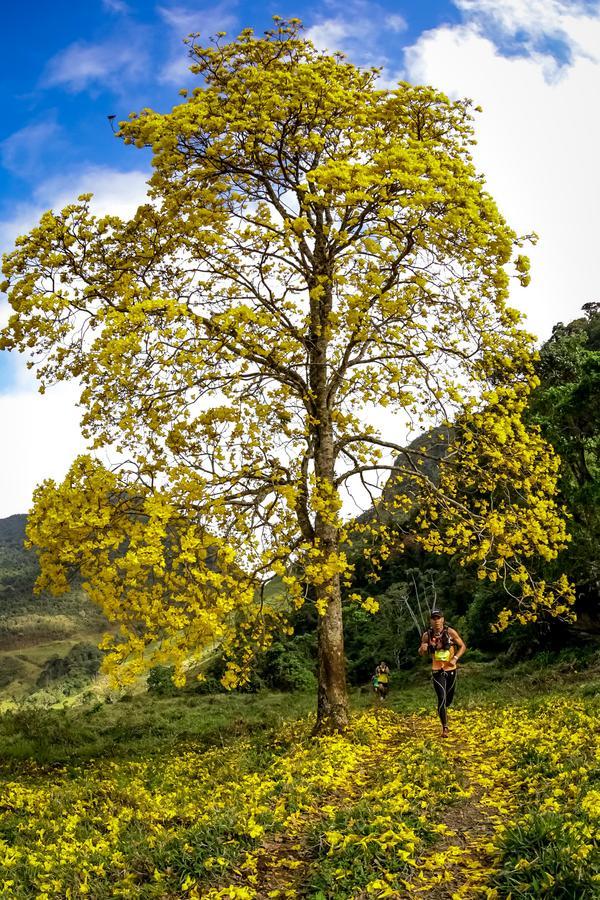 Buy your photos of the eventEvolution on Fotop