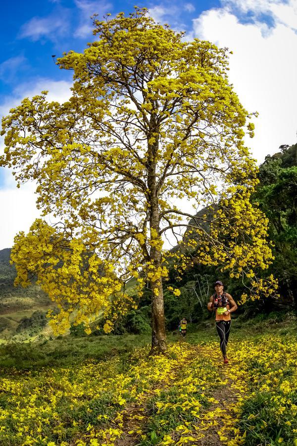 Buy your photos of the eventEvolution on Fotop