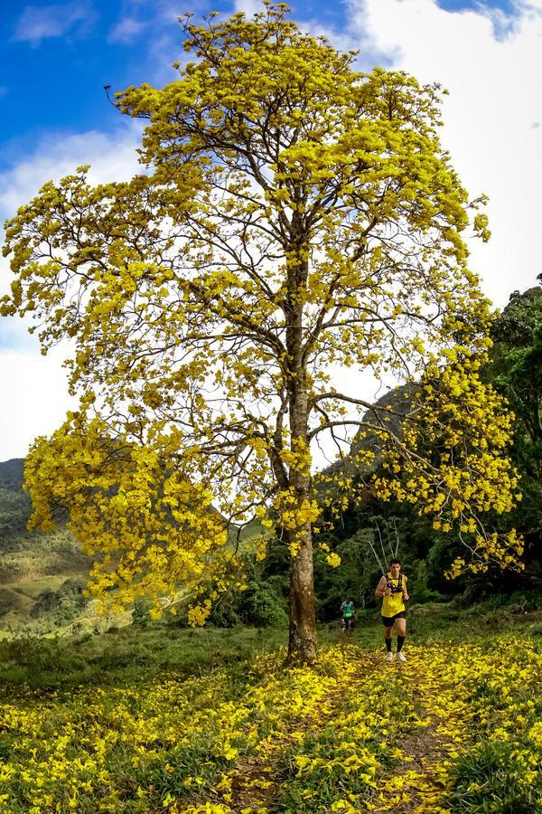 Buy your photos of the eventEvolution on Fotop