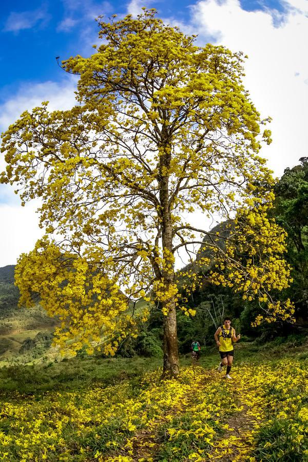 Buy your photos of the eventEvolution on Fotop