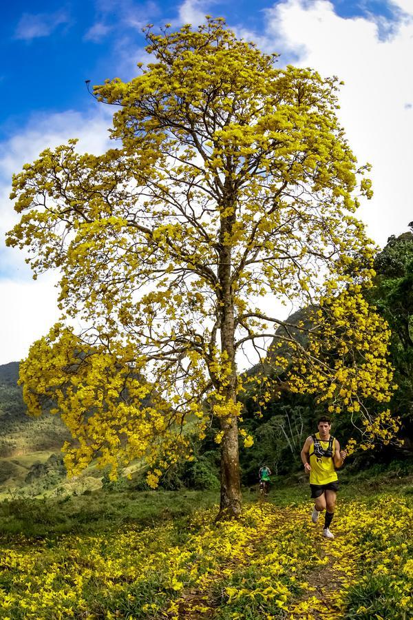 Buy your photos of the eventEvolution on Fotop