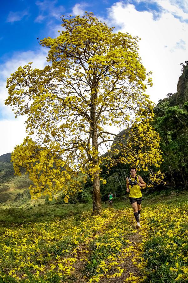 Buy your photos of the eventEvolution on Fotop