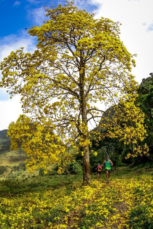 Buy your photos of the eventEvolution on Fotop