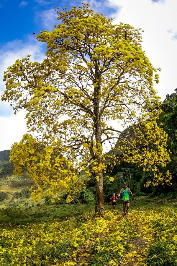 Buy your photos of the eventEvolution on Fotop