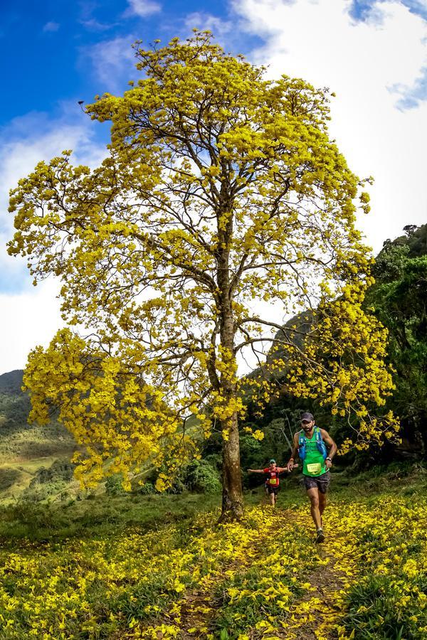Buy your photos of the eventEvolution on Fotop
