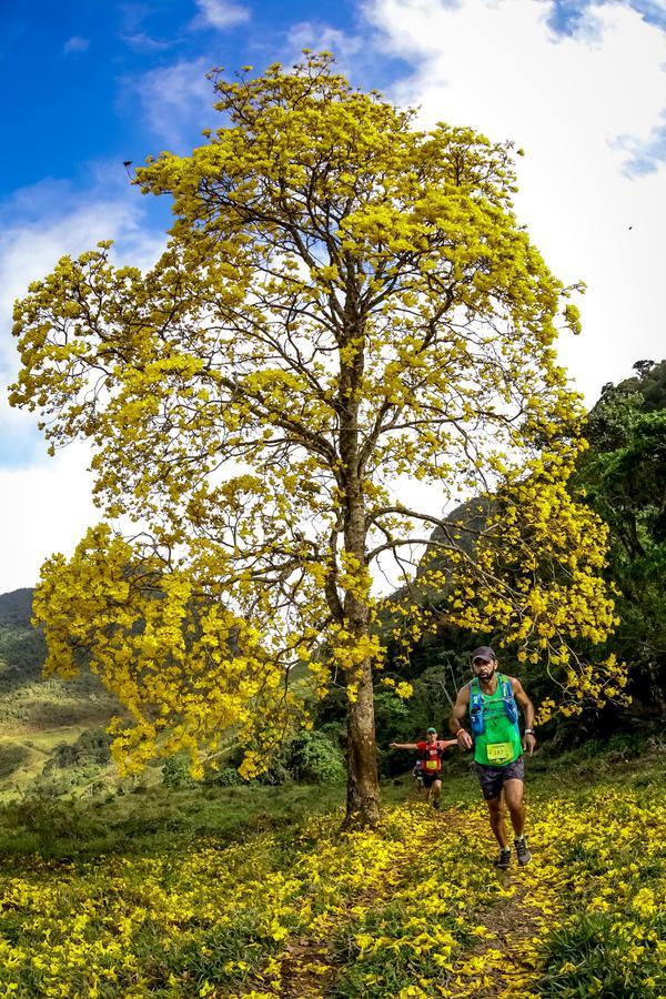 Buy your photos of the eventEvolution on Fotop