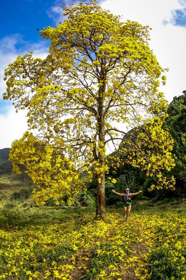 Buy your photos of the eventEvolution on Fotop