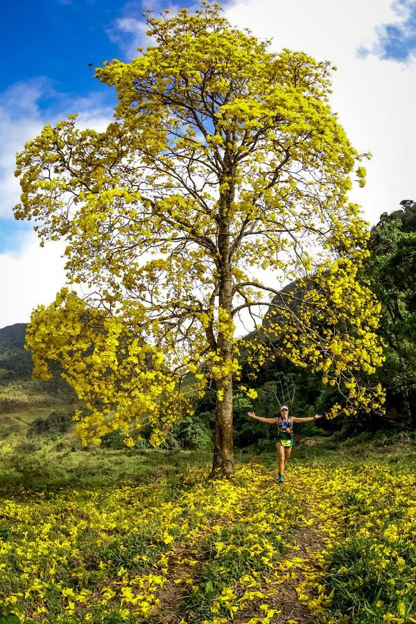 Buy your photos of the eventEvolution on Fotop