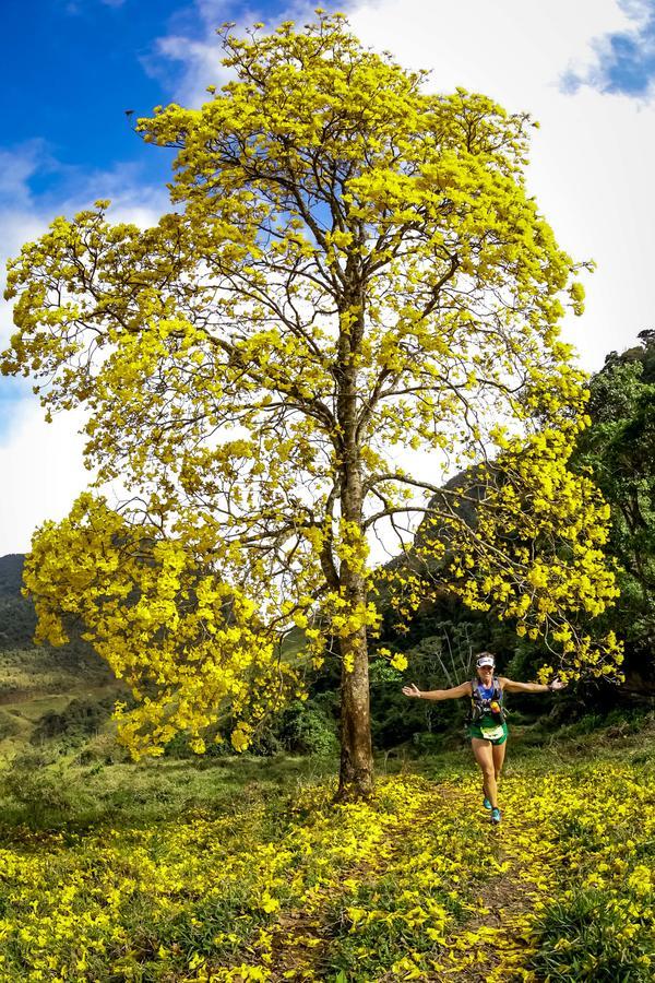 Buy your photos of the eventEvolution on Fotop