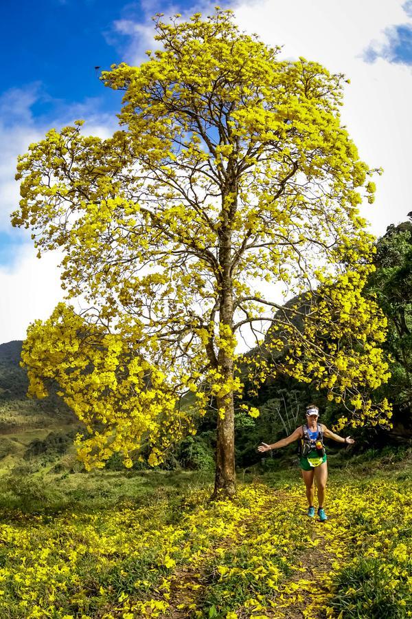 Buy your photos of the eventEvolution on Fotop