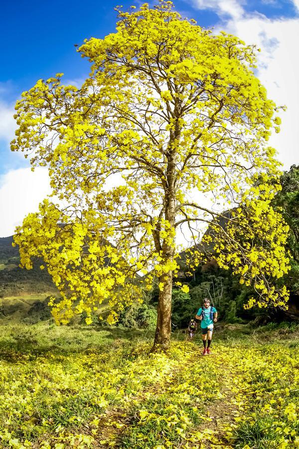 Buy your photos of the eventEvolution on Fotop