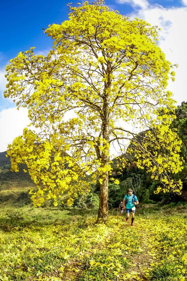 Buy your photos of the eventEvolution on Fotop