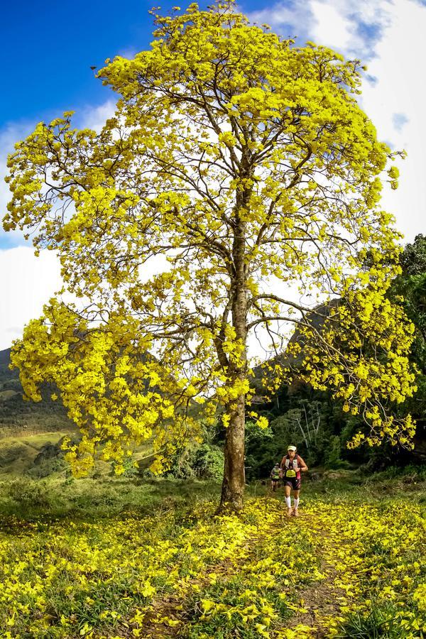 Buy your photos of the eventEvolution on Fotop