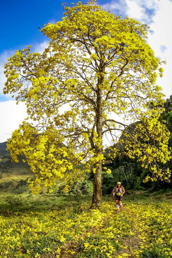 Buy your photos of the eventEvolution on Fotop