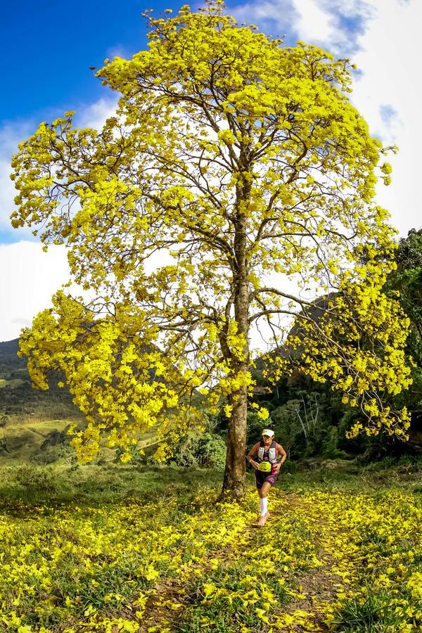 Buy your photos of the eventEvolution on Fotop