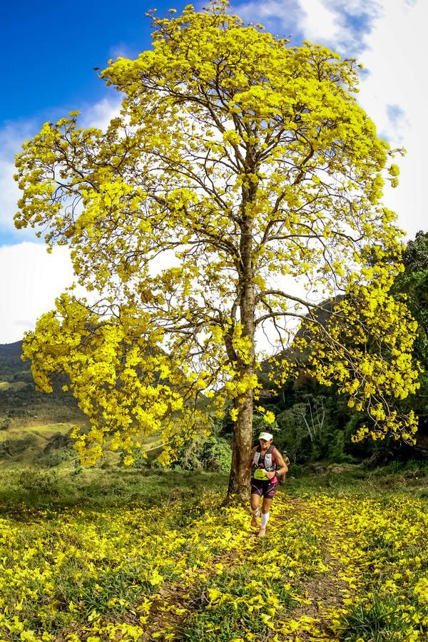 Buy your photos of the eventEvolution on Fotop