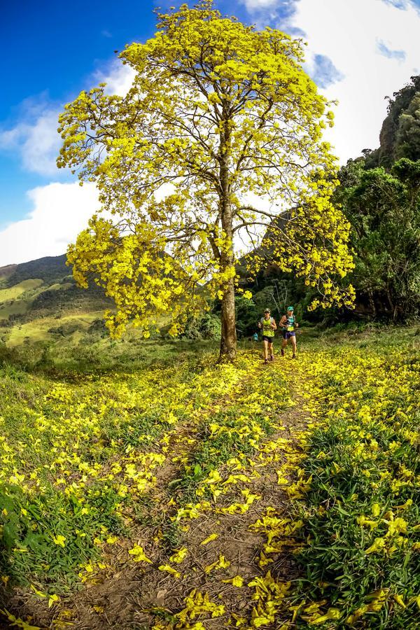 Buy your photos of the eventEvolution on Fotop