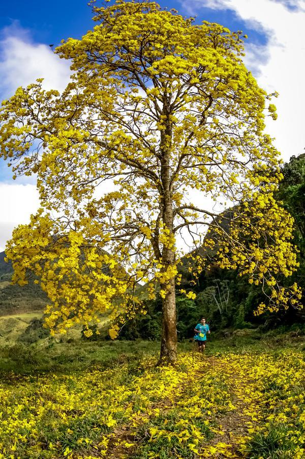 Buy your photos of the eventEvolution on Fotop