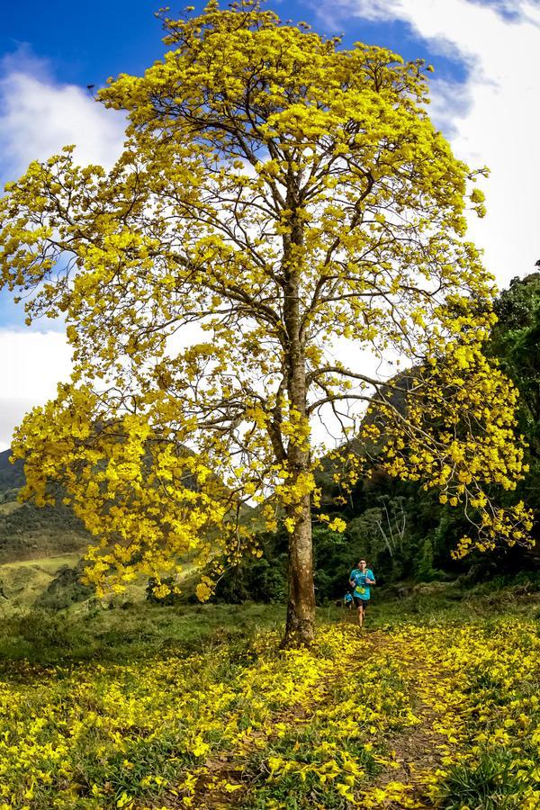 Buy your photos of the eventEvolution on Fotop